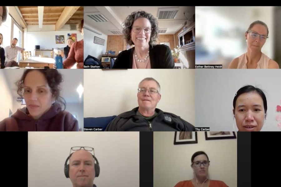 Beth Skelton in a webinar